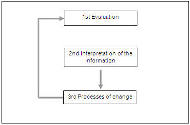 Figure 8. Process of evaluation and change