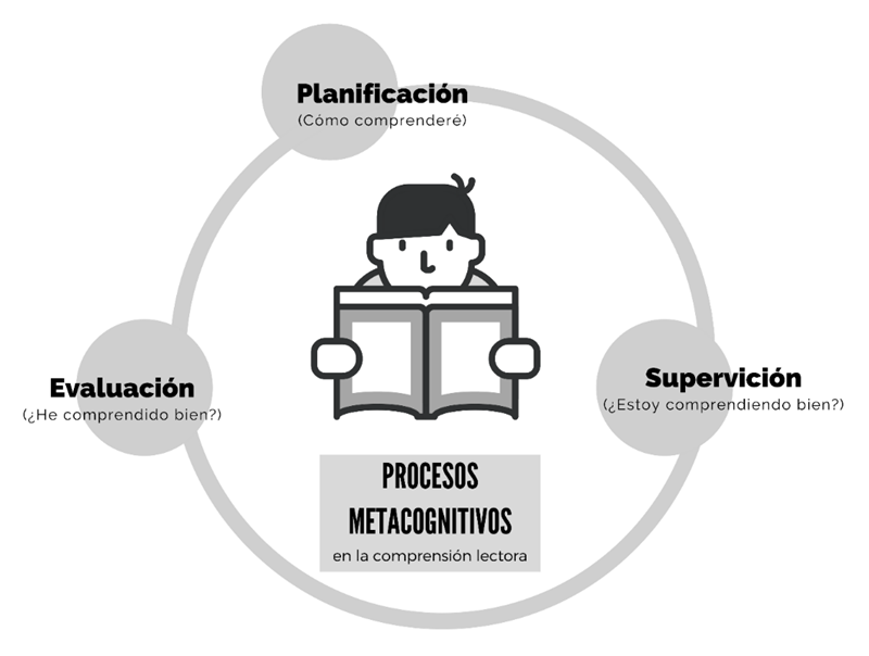 Figura 2. Componentes del proceso metacognitivo en la comprensión lectora
