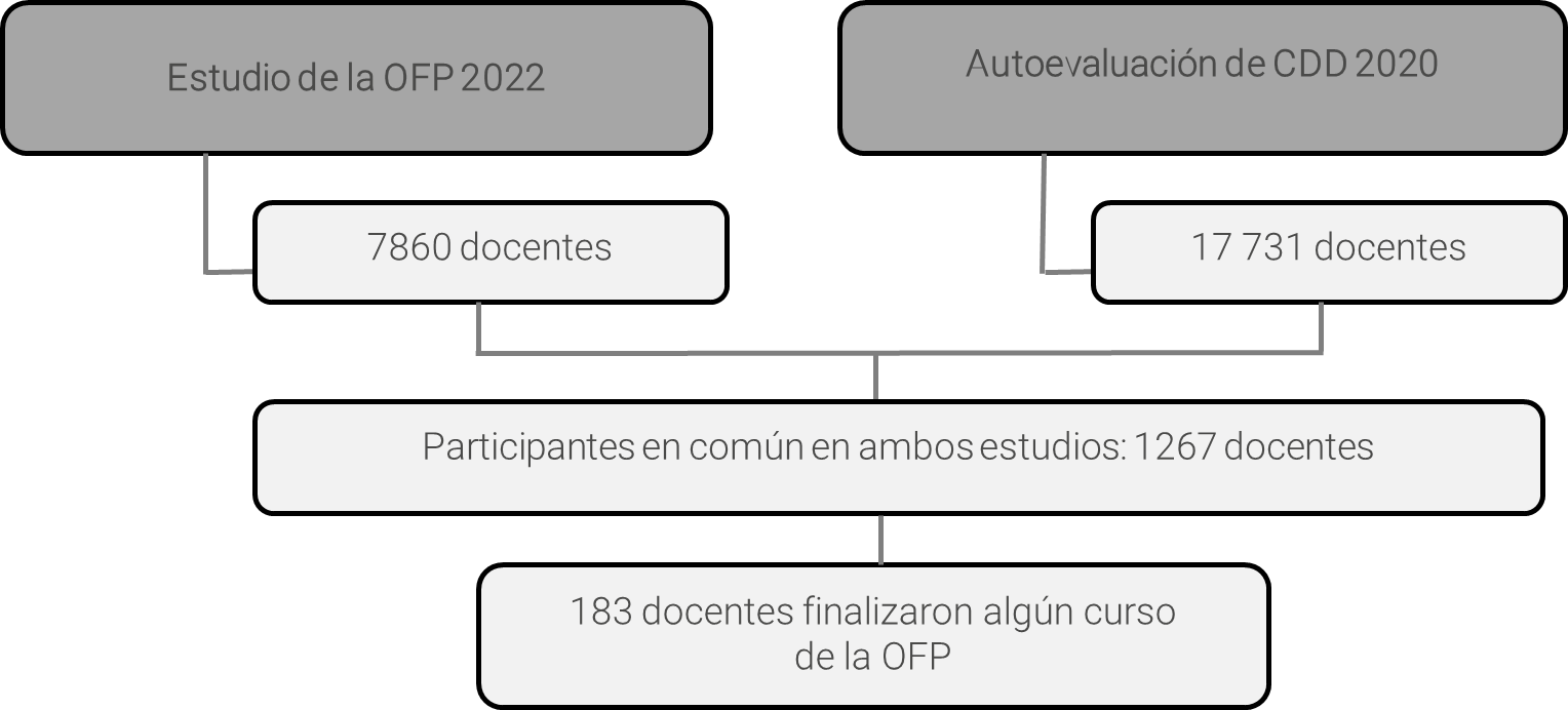 Figura 1. Configuración de la muestra del estudio