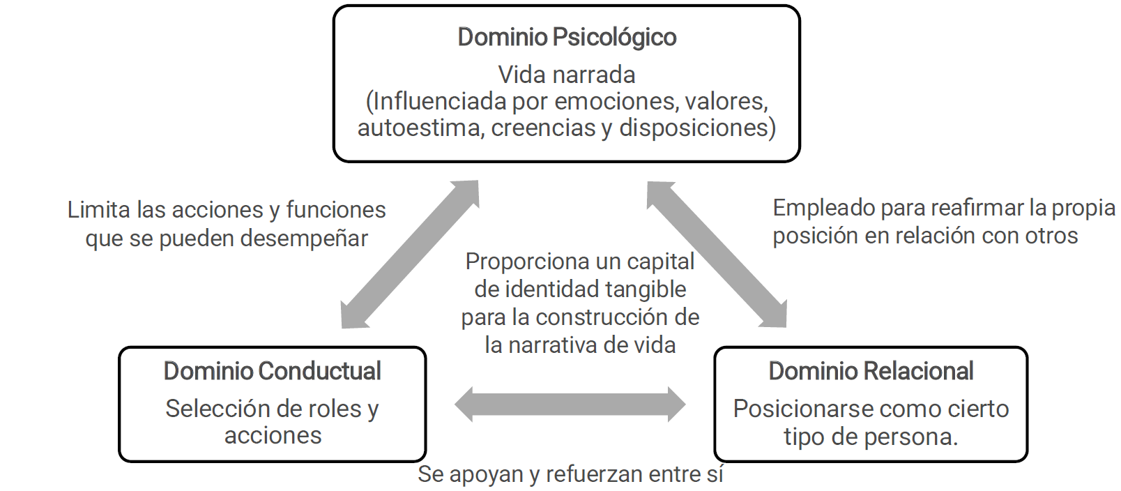 Figura 1. Modelo Triángulo de Identidad