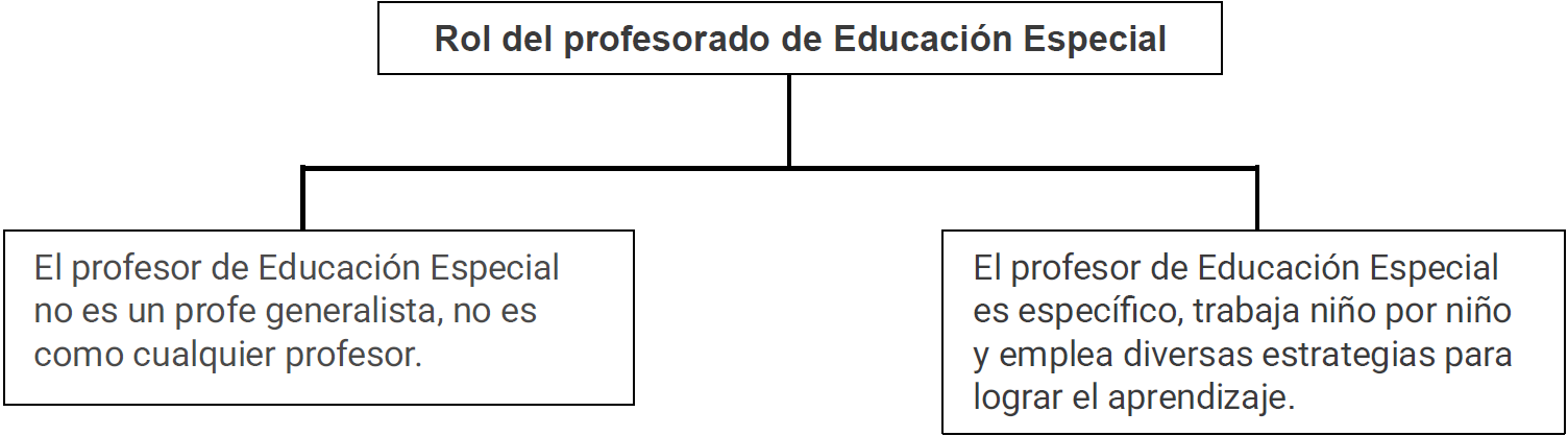 Figura 2. Subcategoría Rol del profesorado de Educación Especial